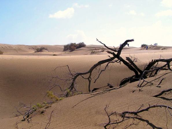 Die Dünen sind ein Traum-Ziel im neuen Film.