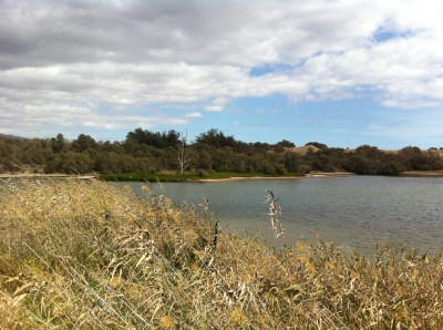Der Salzsee in Maspalomas soll strenger geschützt werden.