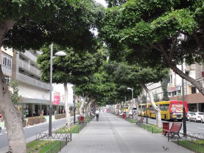 Bald sonntags geöffnet: Die Av. Mesa y López in Las Palmas.