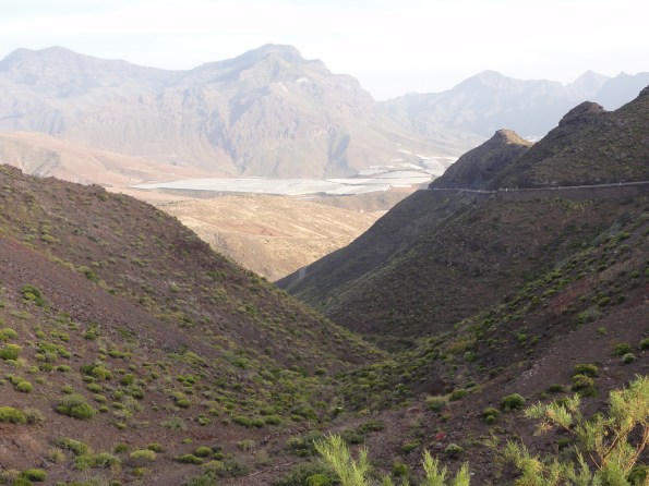 Schon aus der Ferne sind die Tomaten-Plantagen zu sehen.